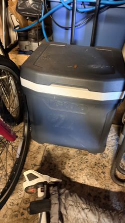 Igloo cooler the smaller one