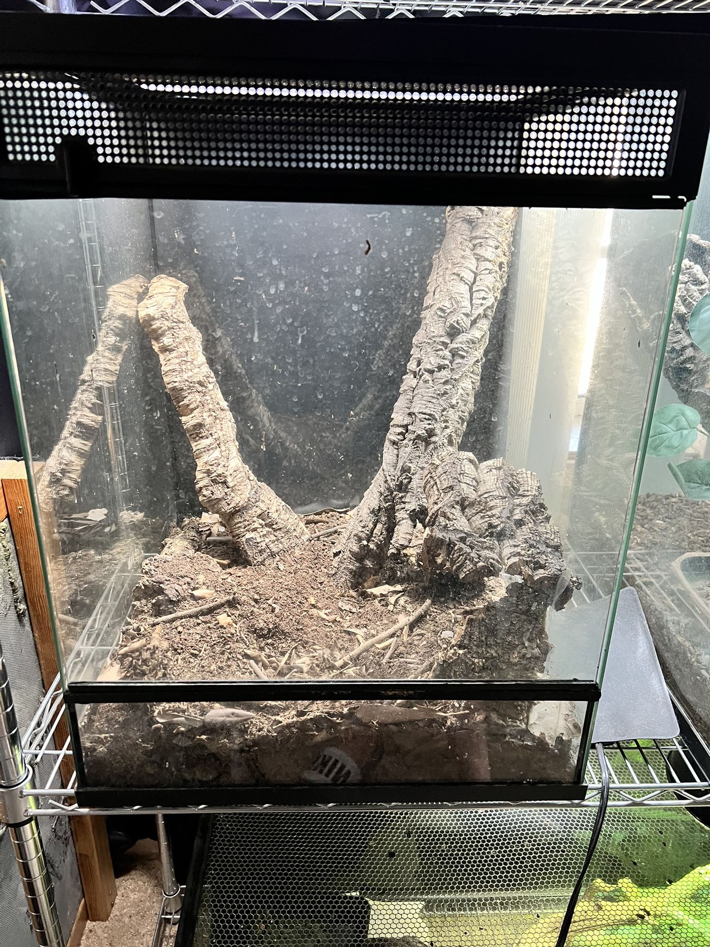 Thrive Terrarium For Reptiles Or Frogs