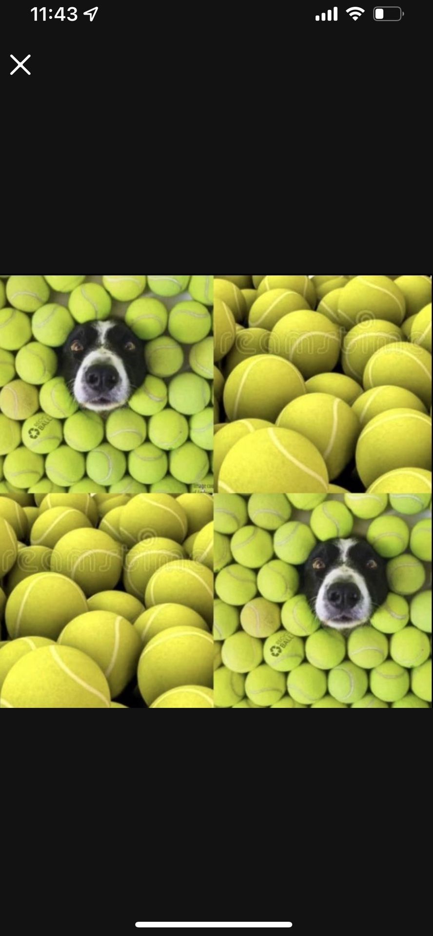 50 Balls For $20