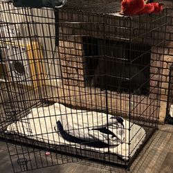 Dog Crate
