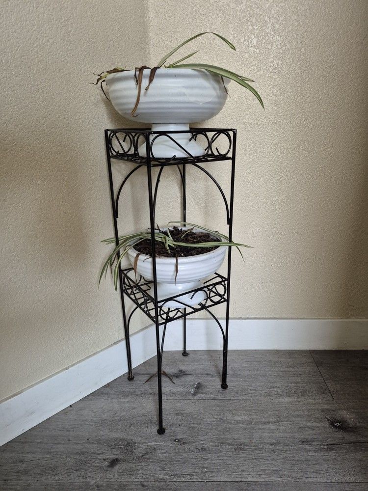 Plant Stand / Pots