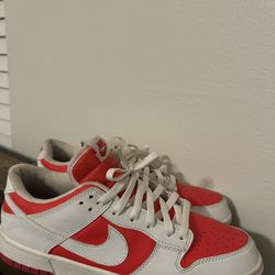 Champion Red Dunks 