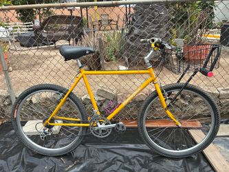 Diamond Back Ascent - Vintage MtB