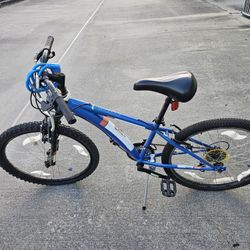 Diamondback Cobra 24