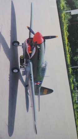 Hundreds of planes from 50 bucks and up