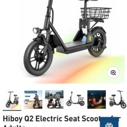 Electric Scooter Dual Suspension 