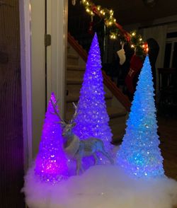 Christmas Trees Changed Colors So Beautiful 