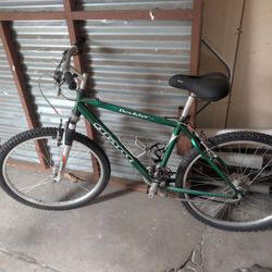 Giant Bike 