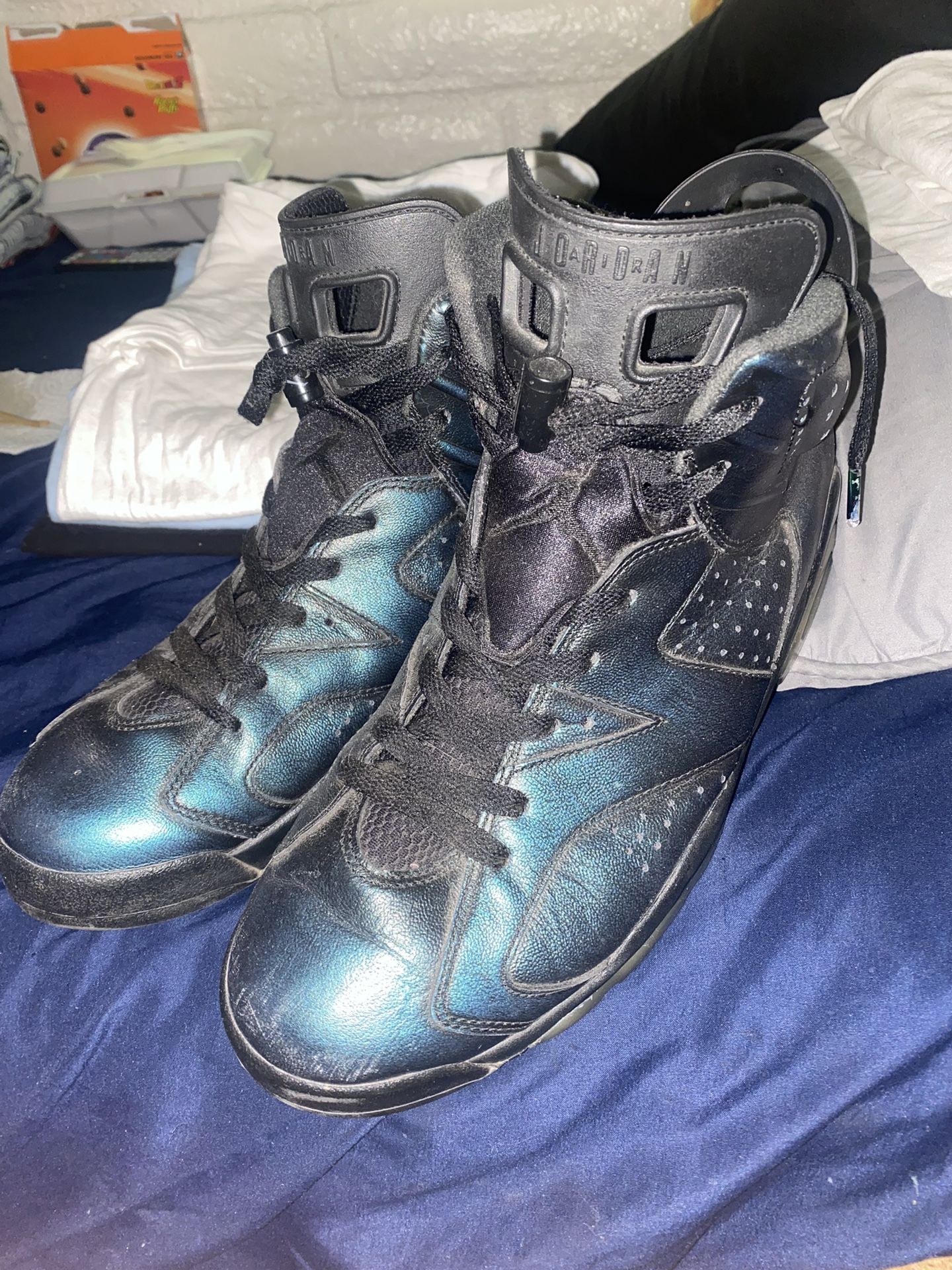 Chameleon Air Jordan 6 Retros (Size 11)