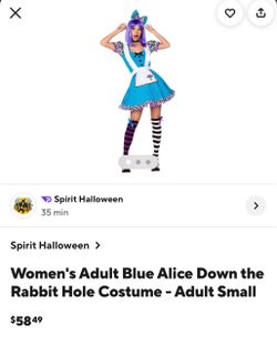 Alice in Wonderland women’s costume