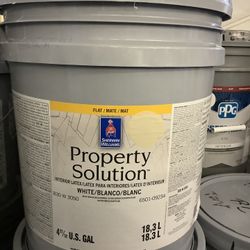 20 Gallons Of Interior Paint (Chopstick)