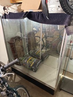 Clear case with lights