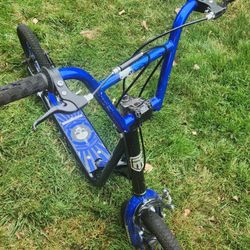 Blue Mongoose Expo Scooter (Flexible Price)