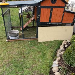 Chicken Coop