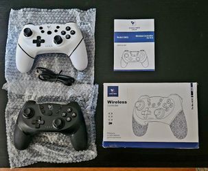 Controller for Nintendo Switch