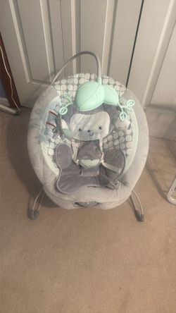 Baby Bouncer