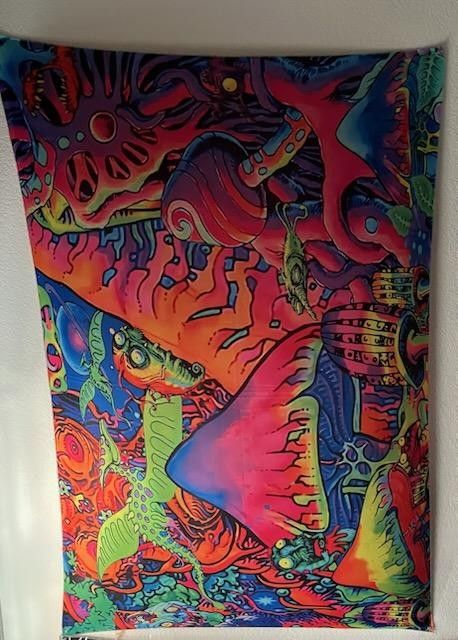 Very Nice,like New Condition Tapestries