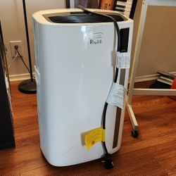 Delonghi pinguino portable air conditioner