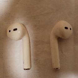 Apple Earbuds 