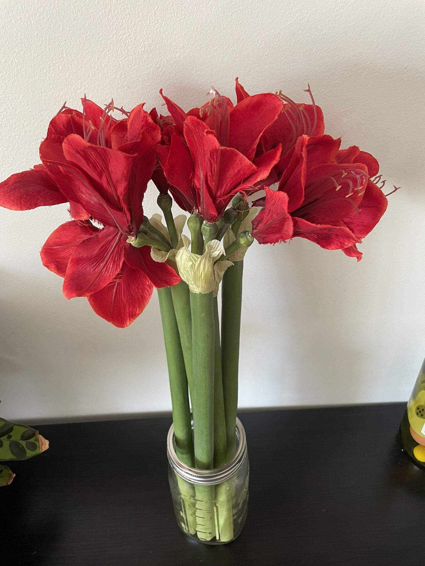 Amaryllis Bunch