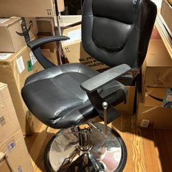 Salon / Barber Chair