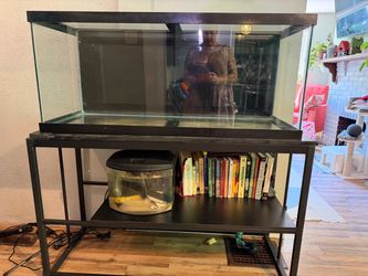 75 gallon aquarium with stand and  full glass hood