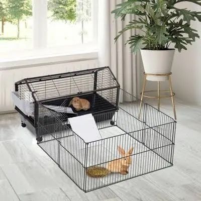 Guinea Pig Cage