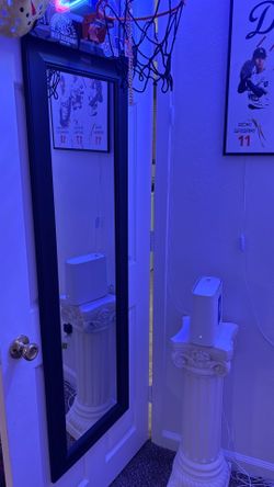 Door mirror
