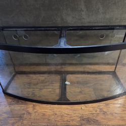 75gal Bowfront Glass Aquarium Tank