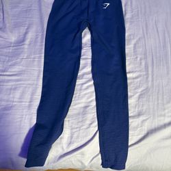Blue Gym Shark Leggings 