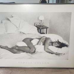  Framed Glass Picture