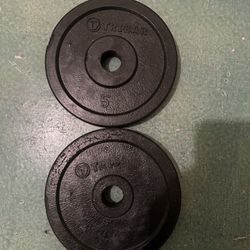 5 Pound Barbell/dumbbell Weights 