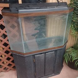 Fish Tank And Stand