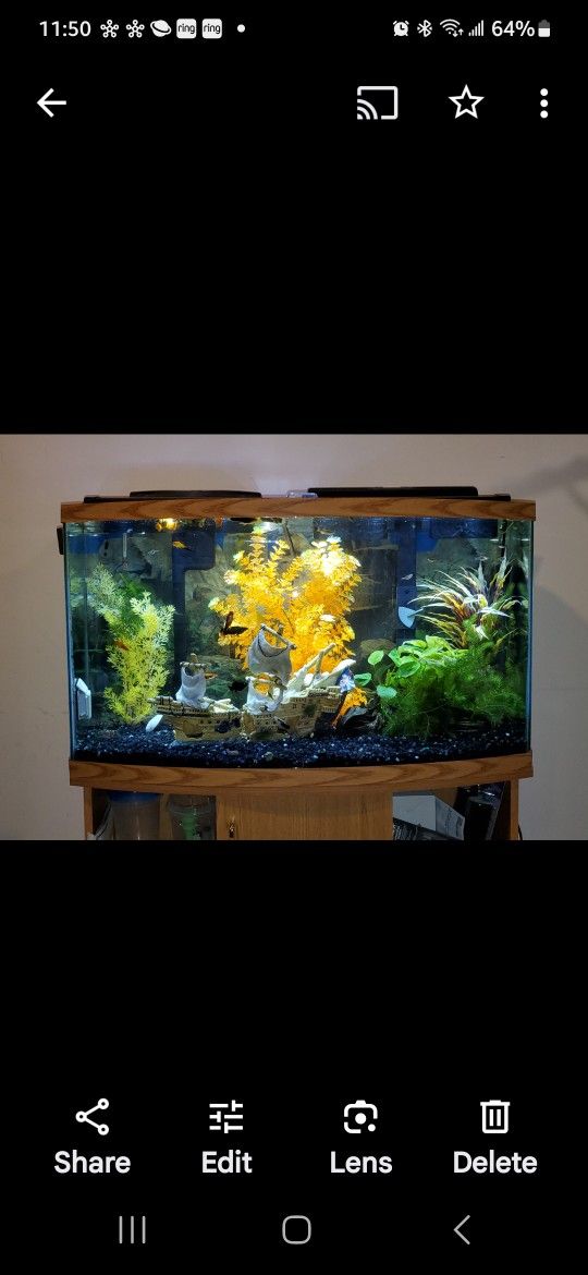 46 Gallon Bow Tank & Stand With Glass Canopy
