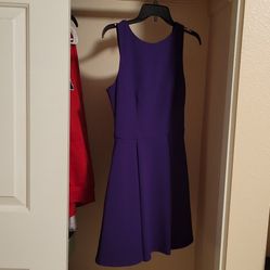 Plain Purple Dress