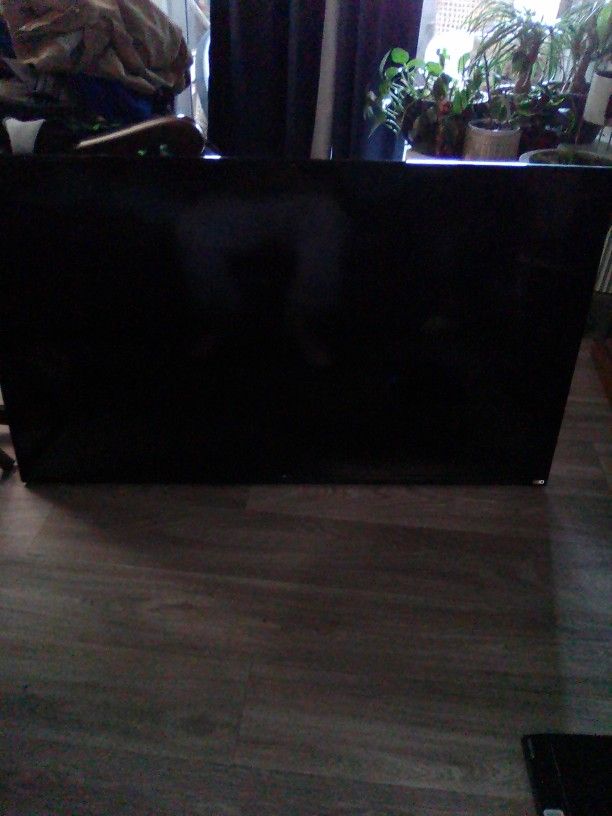 40" Flat Screen TV Vizio