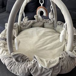 5-in-1 Thick & Plush Baby Play Gym, Play Mat - Infant 