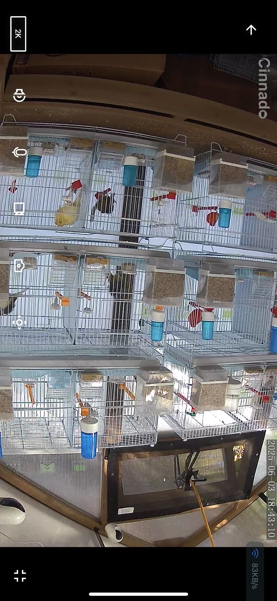 Cage For Sale
