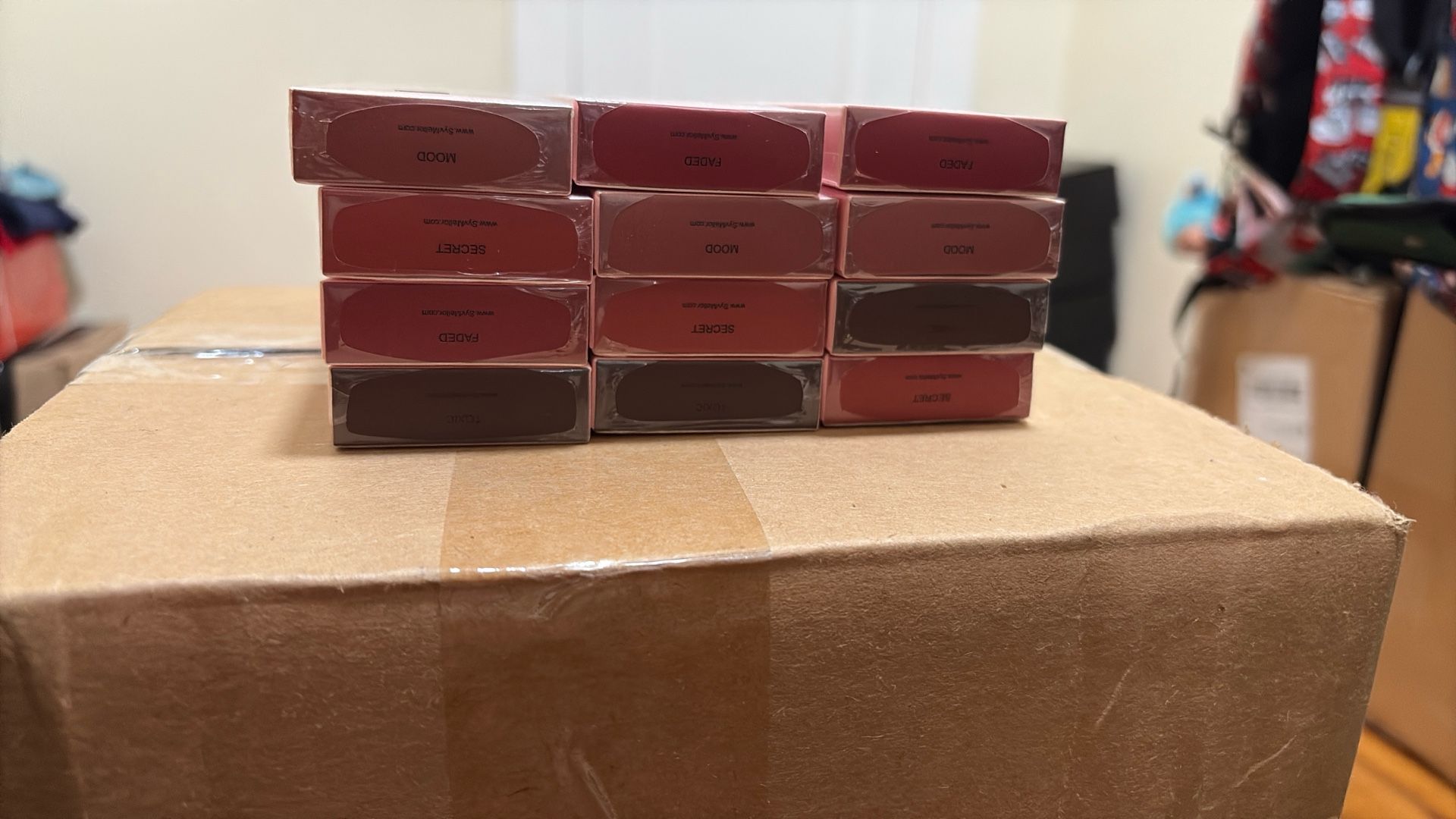 Ladies Matte Liquid Lipstick