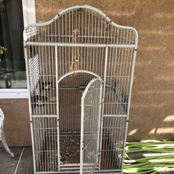 Bird Cage 