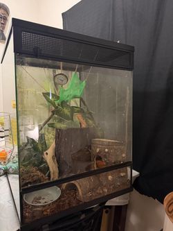 Enclosure Tank