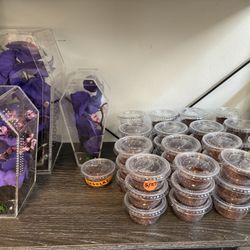 Tarantula Enclosures