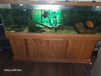 130 Gallon Aquarium
