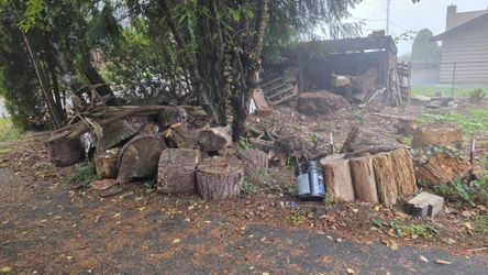 Free wood Logs (must come and haul)