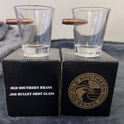 Shot Glass Bullet .308