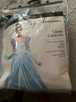 Cinderella  adult costume SM size