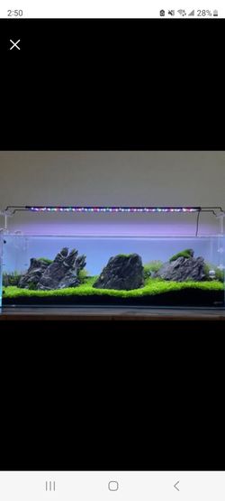 New 11 Gallon Aquarium