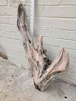 Driftwood 28x12x8