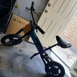Electric bicycle