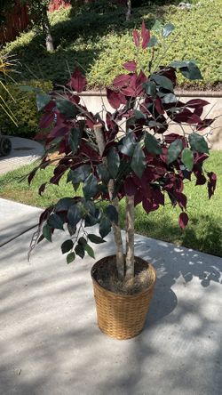 Fake Decorative Plant